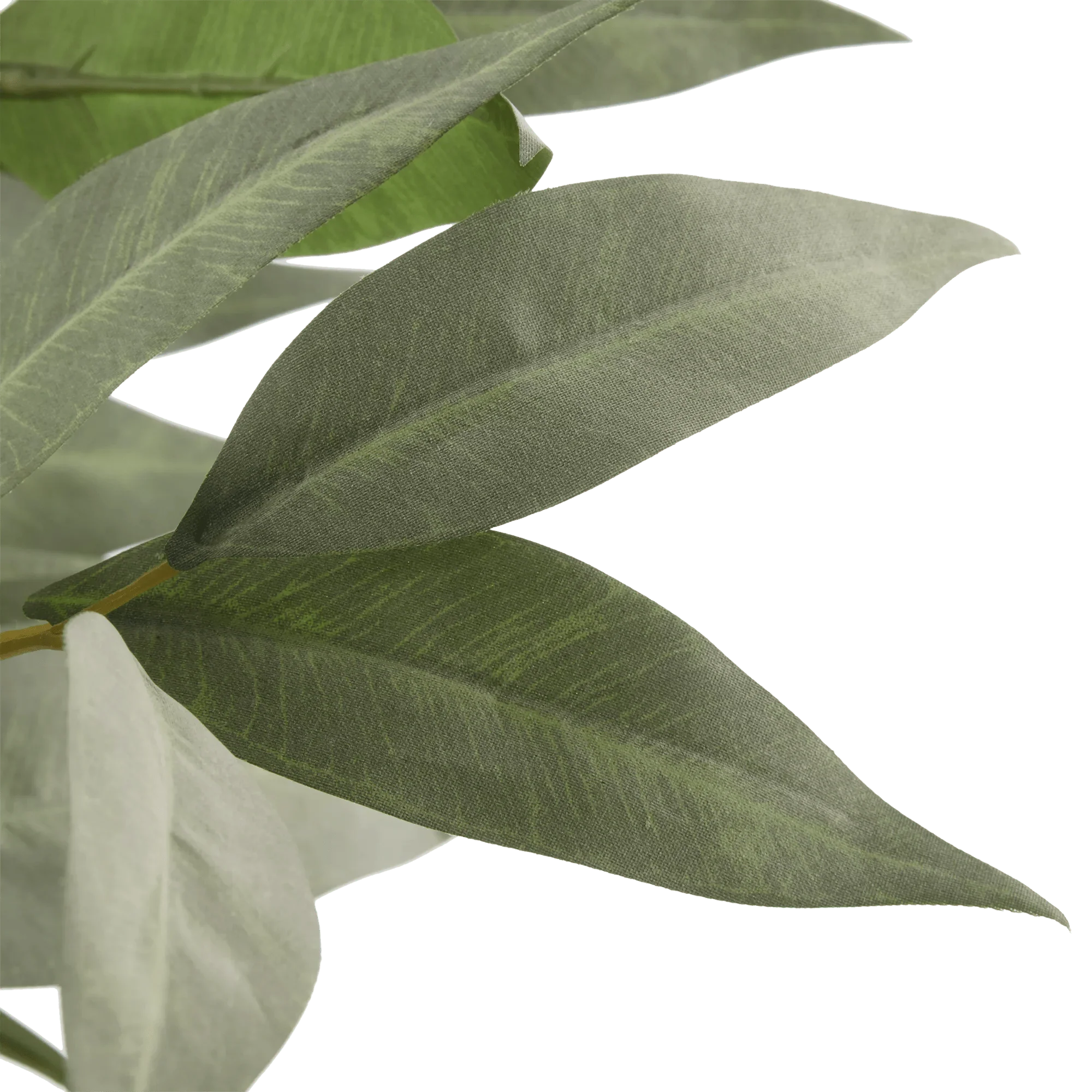 Aritificial Eucalyptus Plant in Ceramic Pot - Image 2