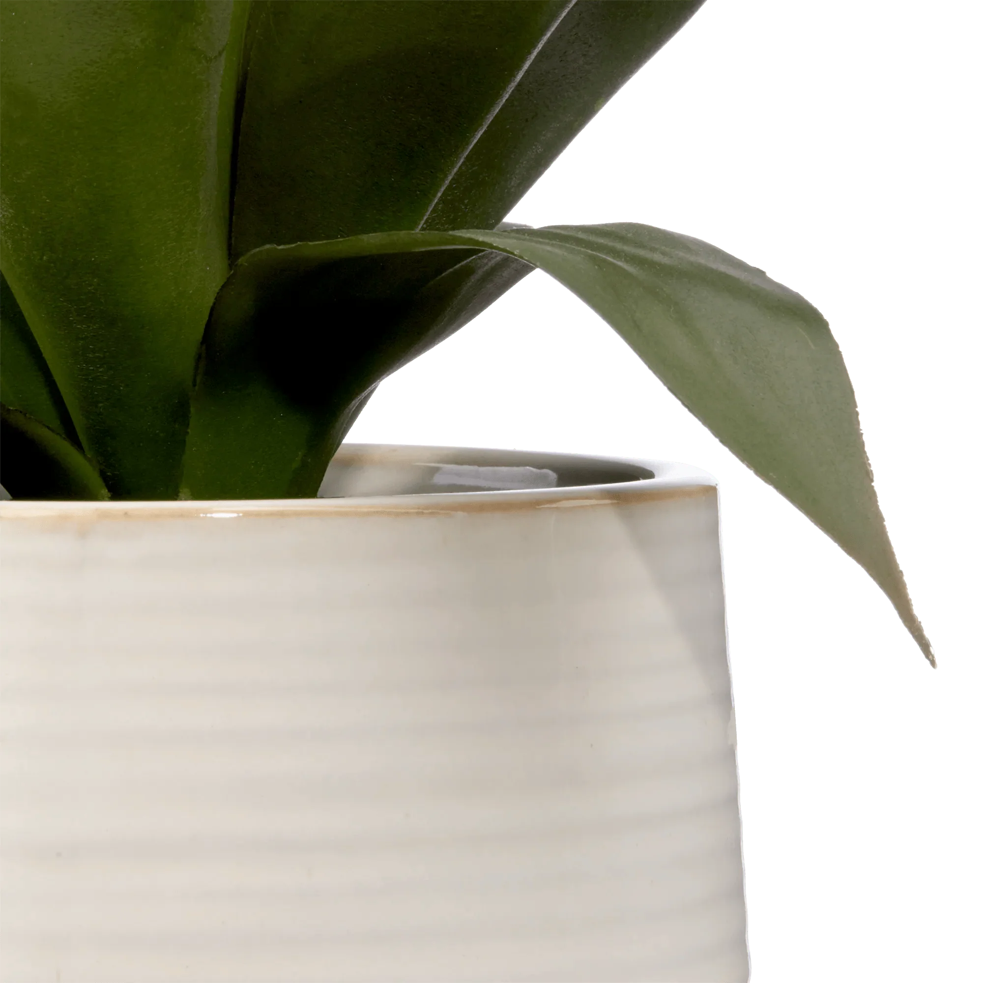 Artificial Aloe in Ceramic Pot - Image 2
