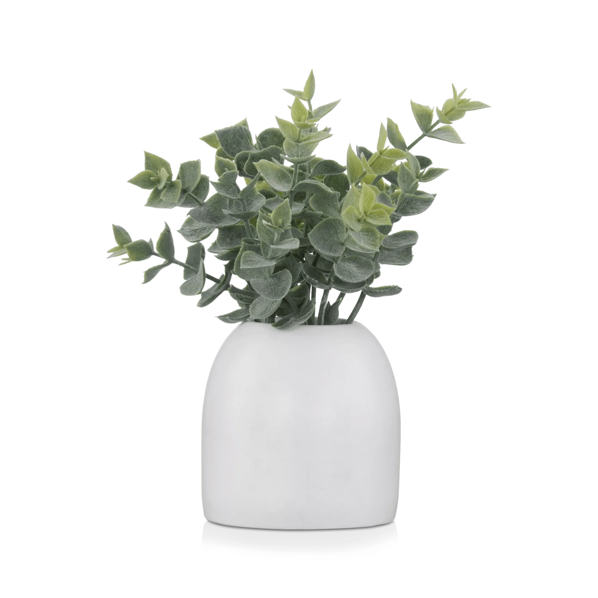 Artificial Eucalyptus in Ceramic Pot