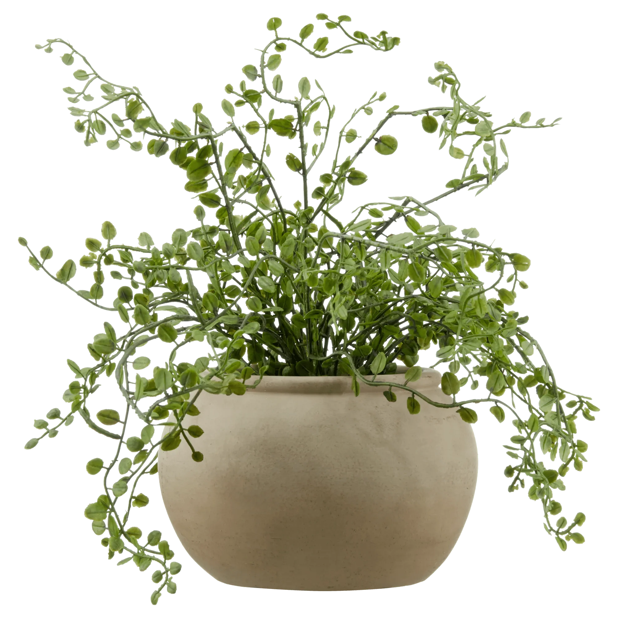 Artificial Fern