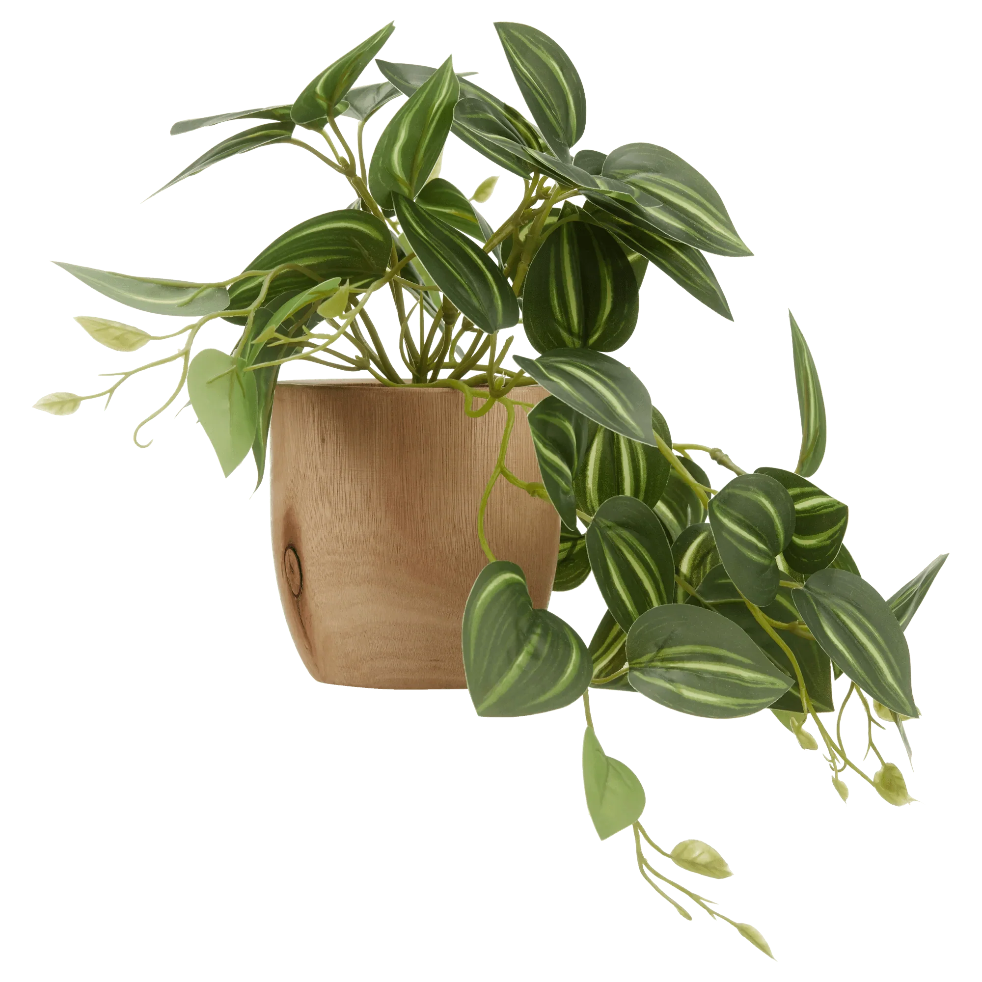 Artificial Fittonia in Wood Pot