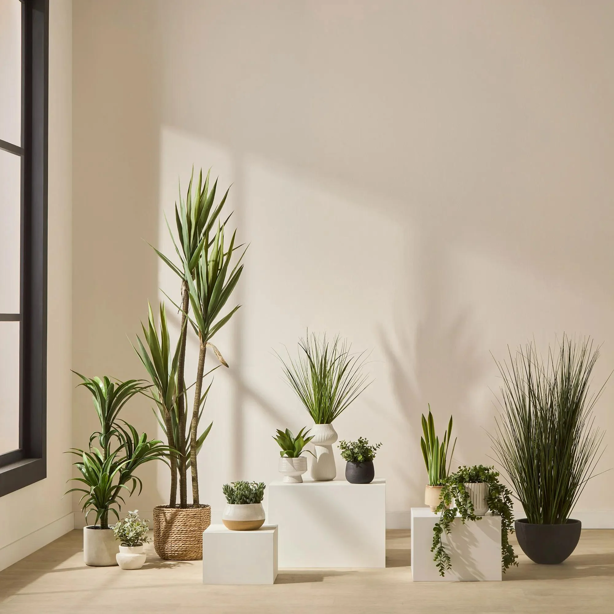 Long Eucalyptus in Ceramic Ribbed Pot - Image 5
