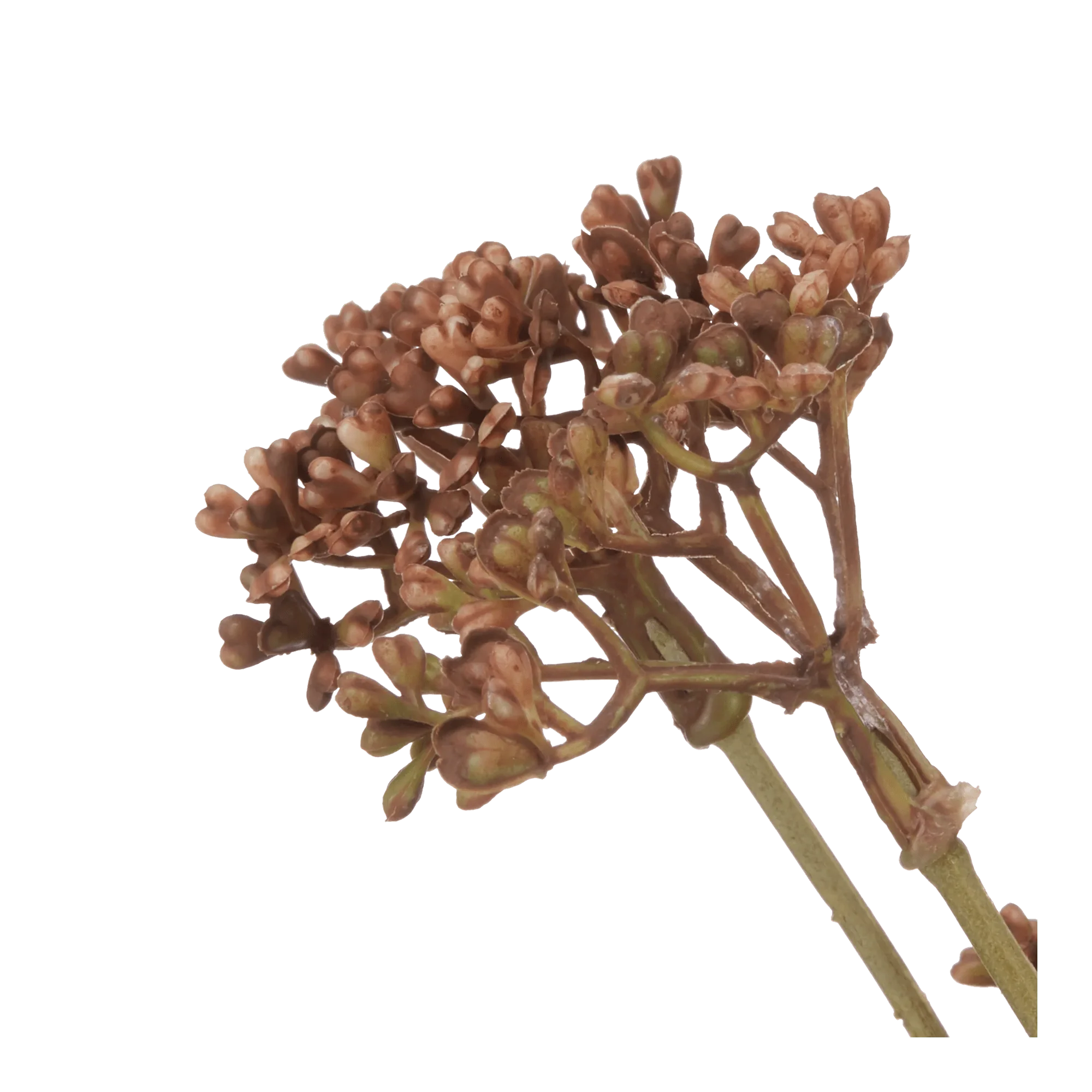 Artificial Hemlock Flower Stem - Image 2
