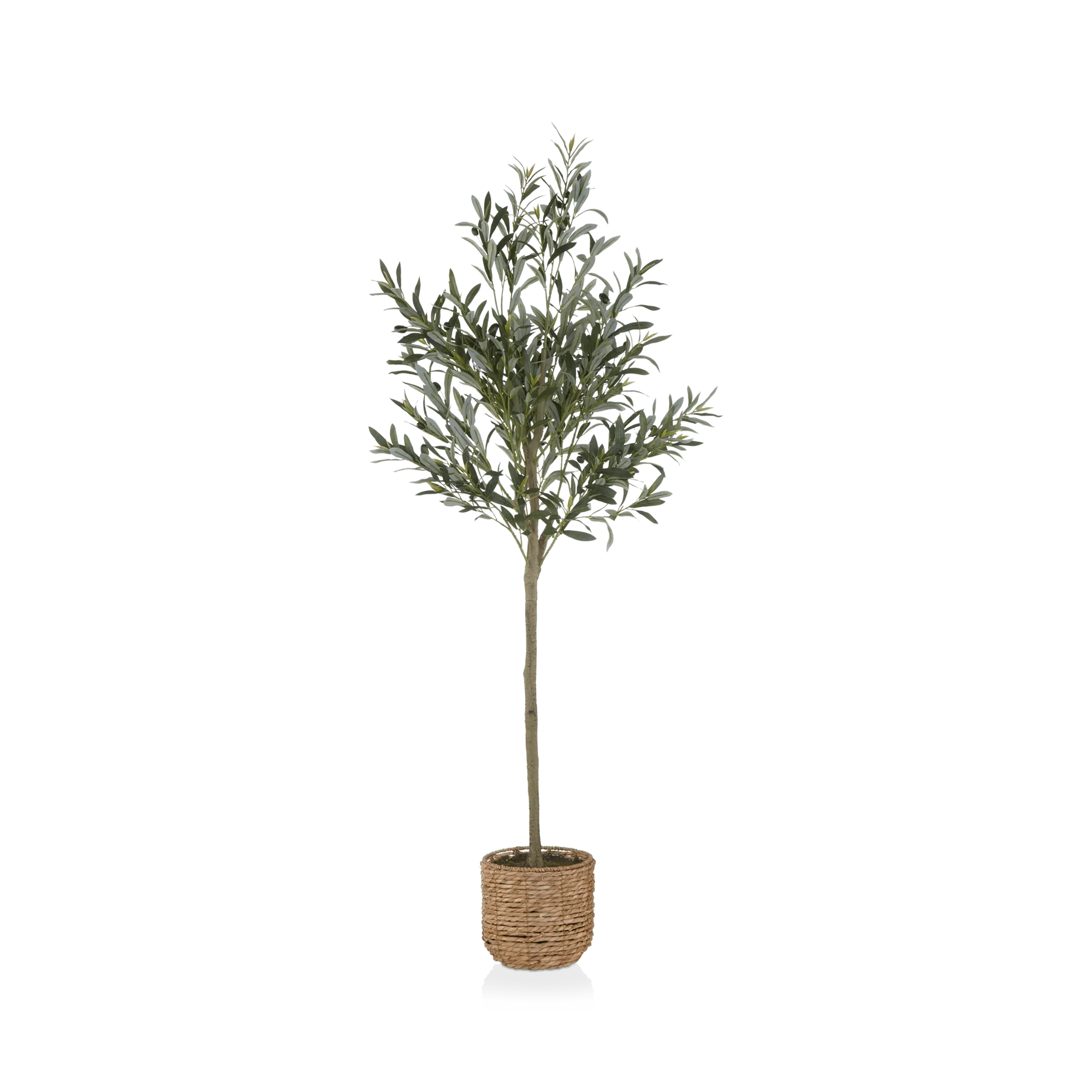 Artificial Olive Tree in Basket