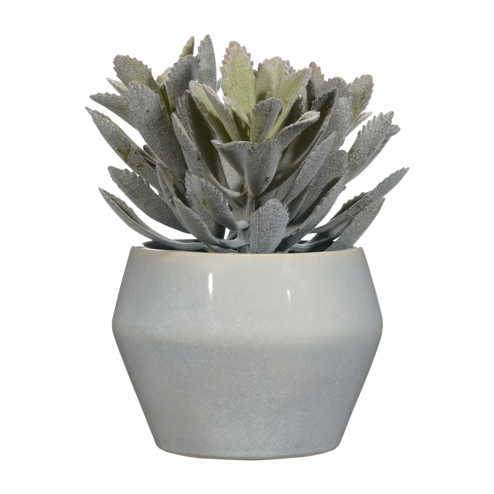 Artificial Panda Plant in Ceramic Pot