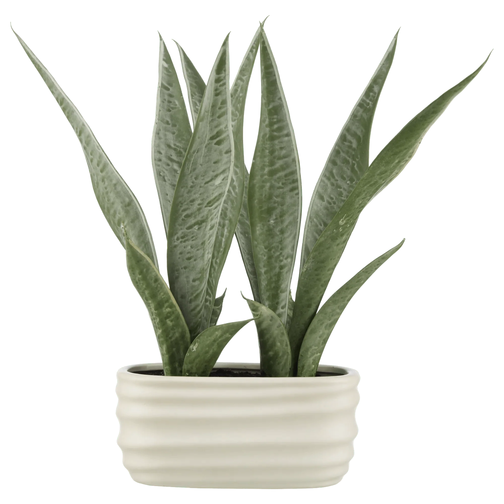 Artificial Plant in Ceramic Pot