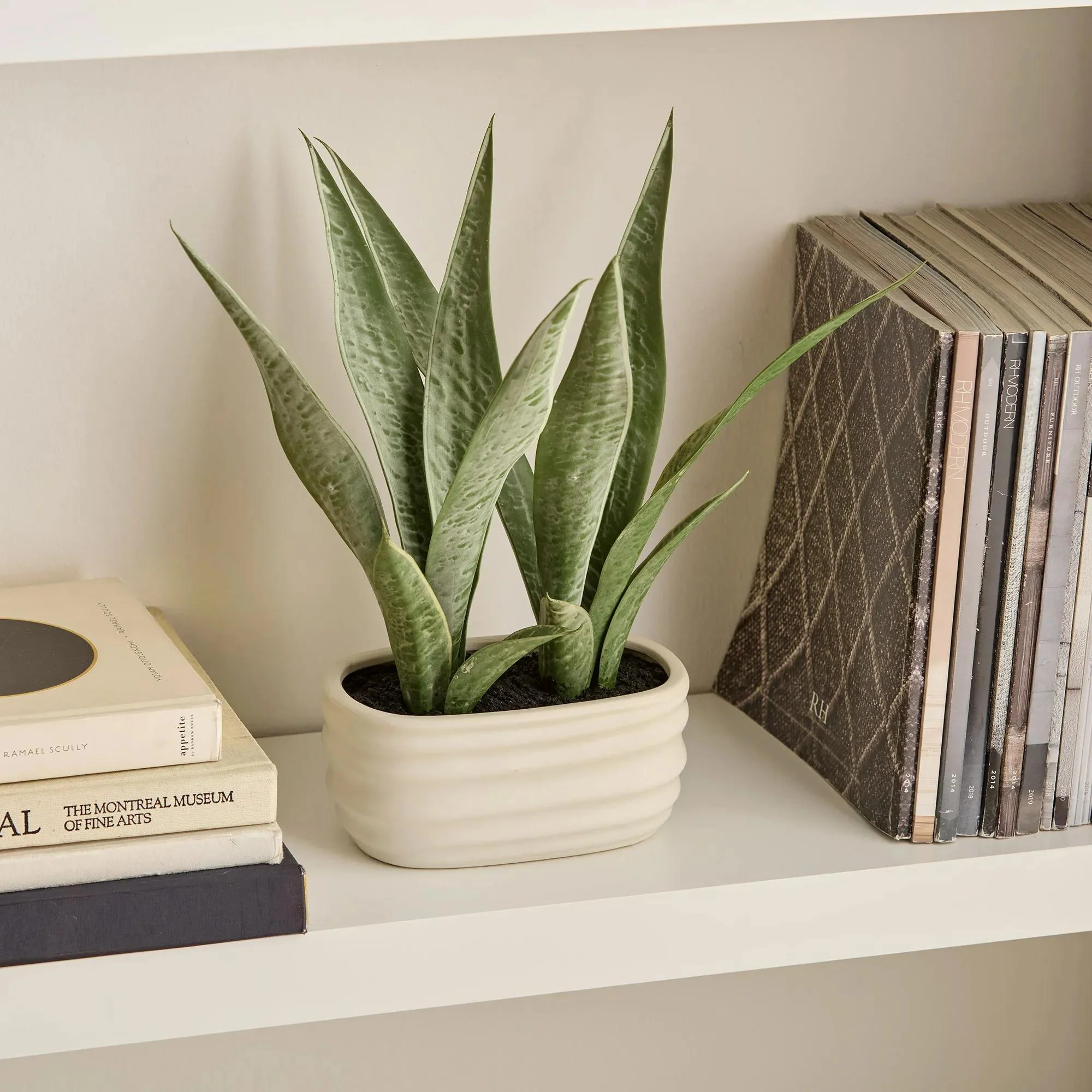Artificial Plant in Ceramic Pot - Image 2