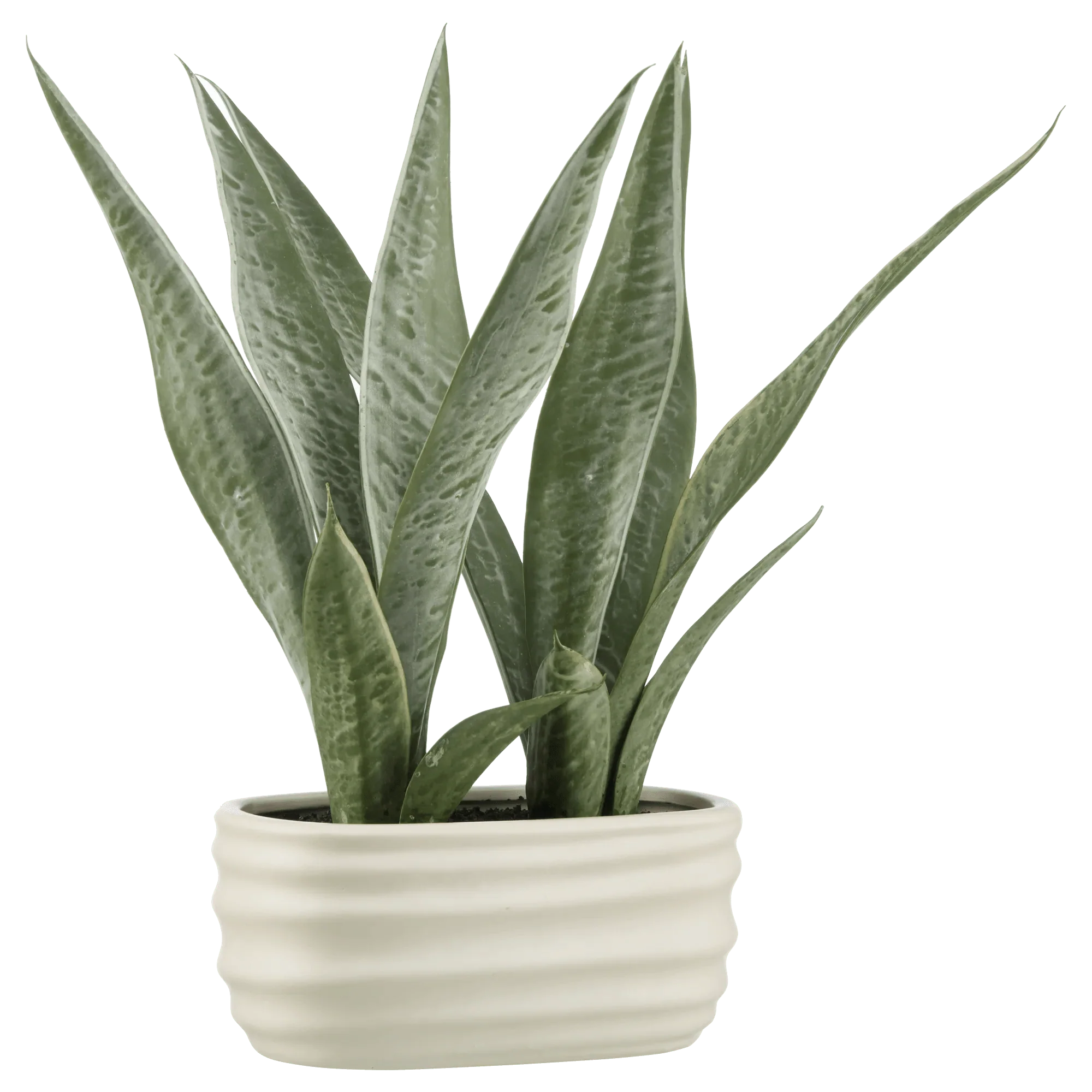 Artificial Plant in Ceramic Pot - Image 4