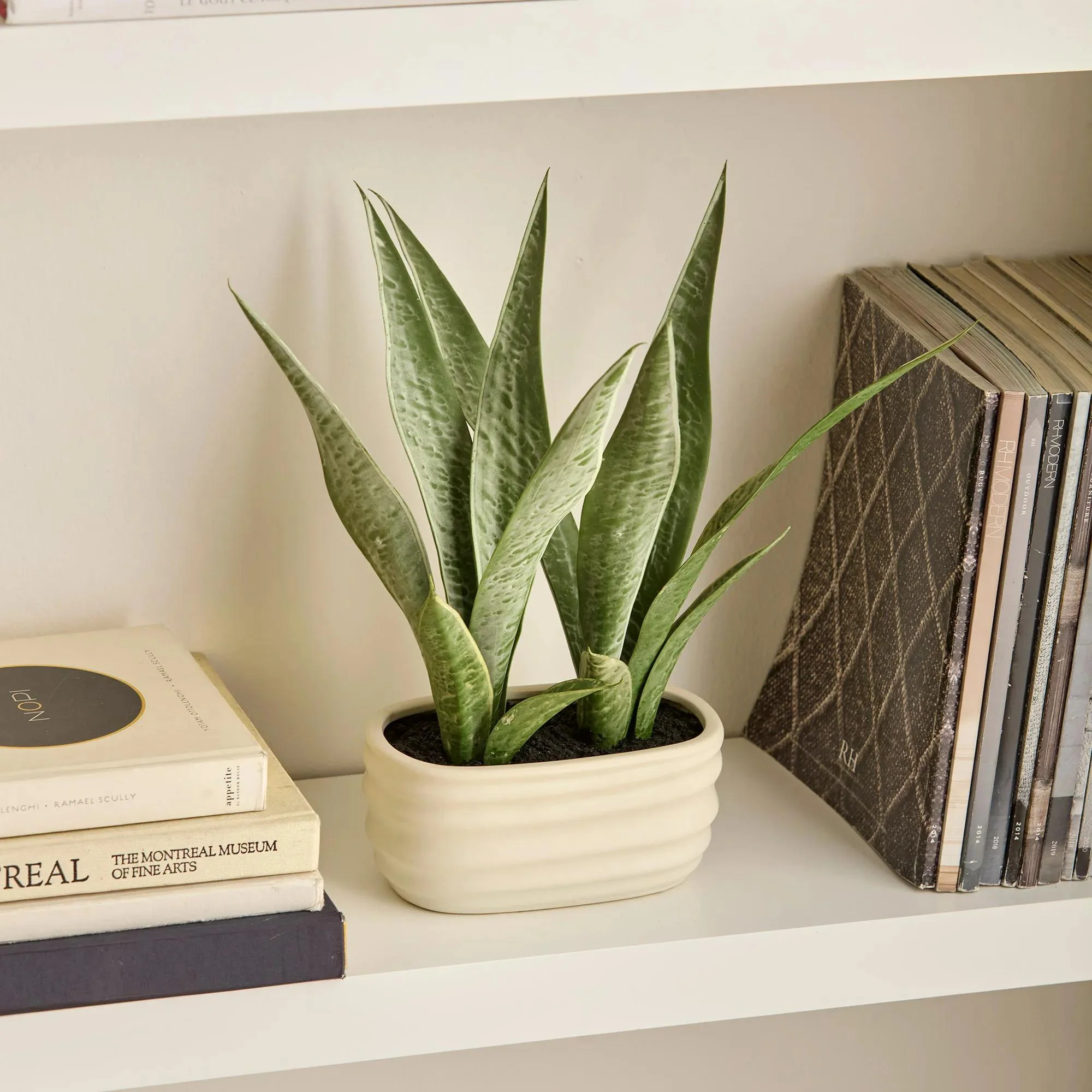Artificial Plant in Ceramic Pot - Image 6