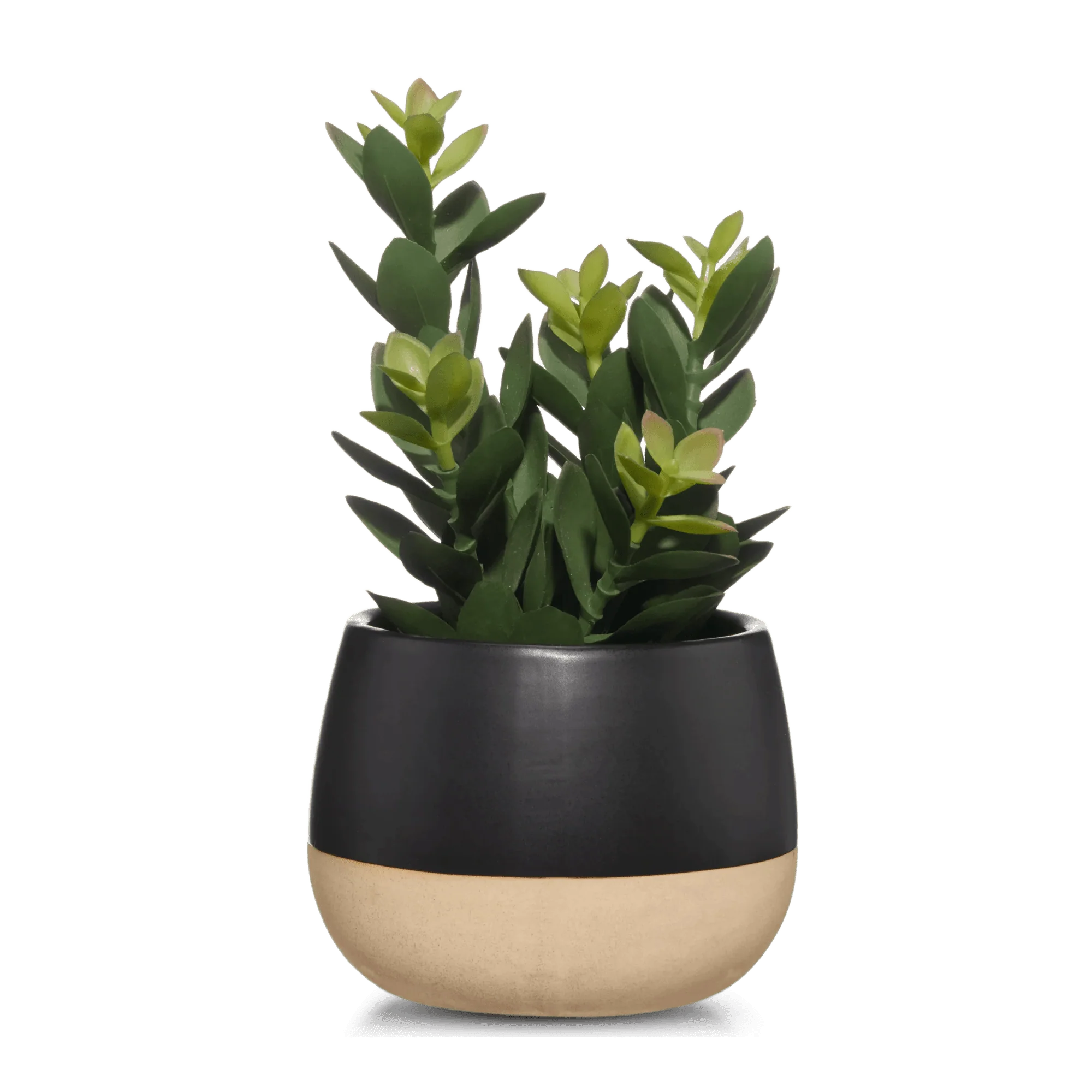 Artificial Plant in Colour-Block Pot