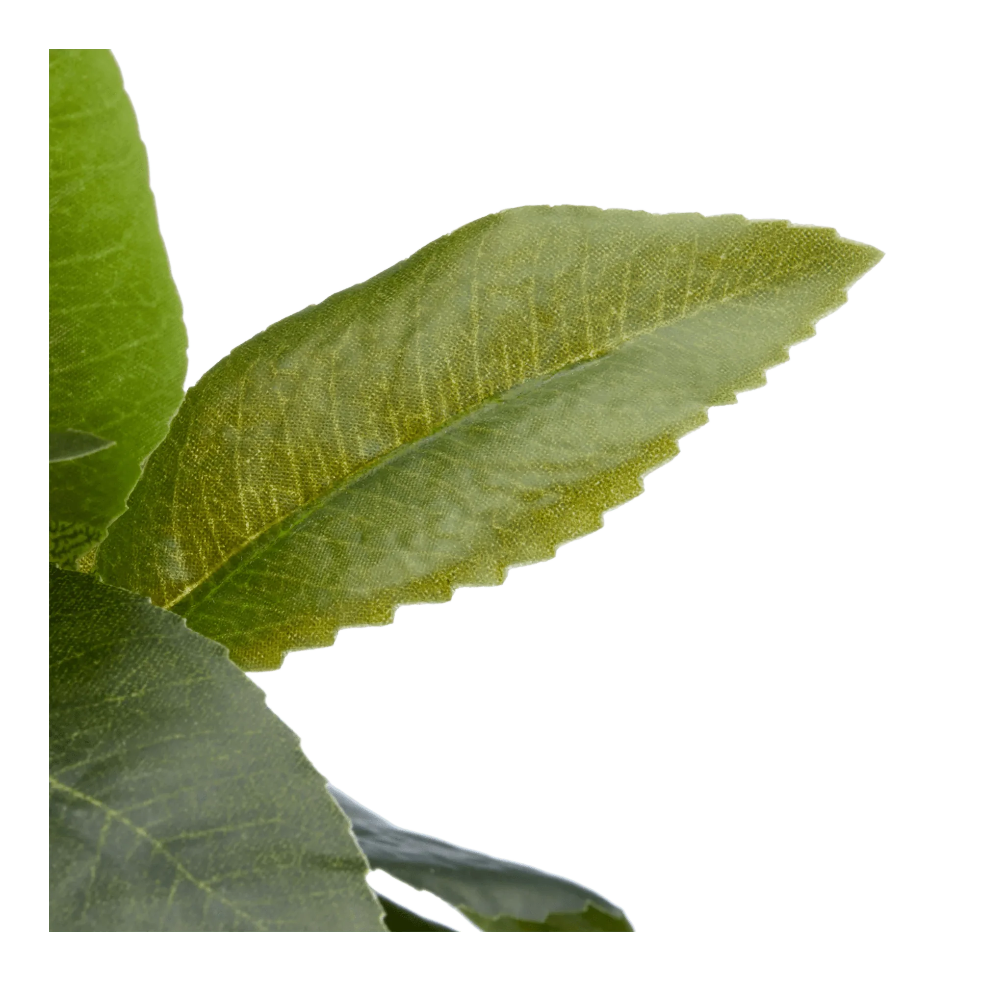 Artificial Plant in Striped Pot - Image 3