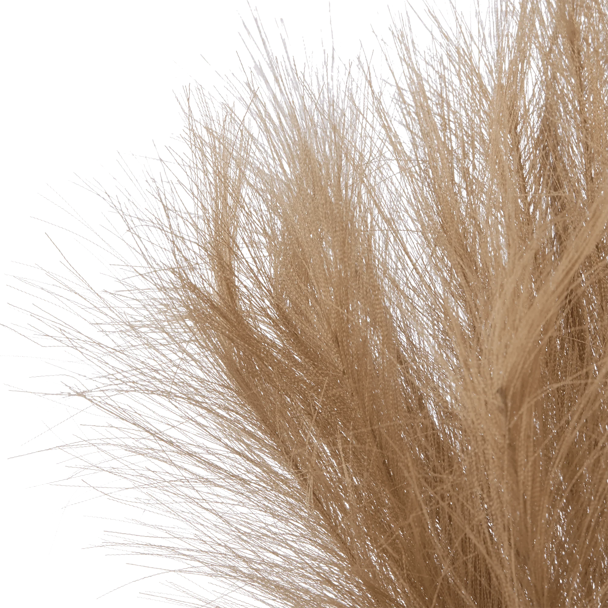 Artificial Reed Grass in Ceramic Pot - Image 2