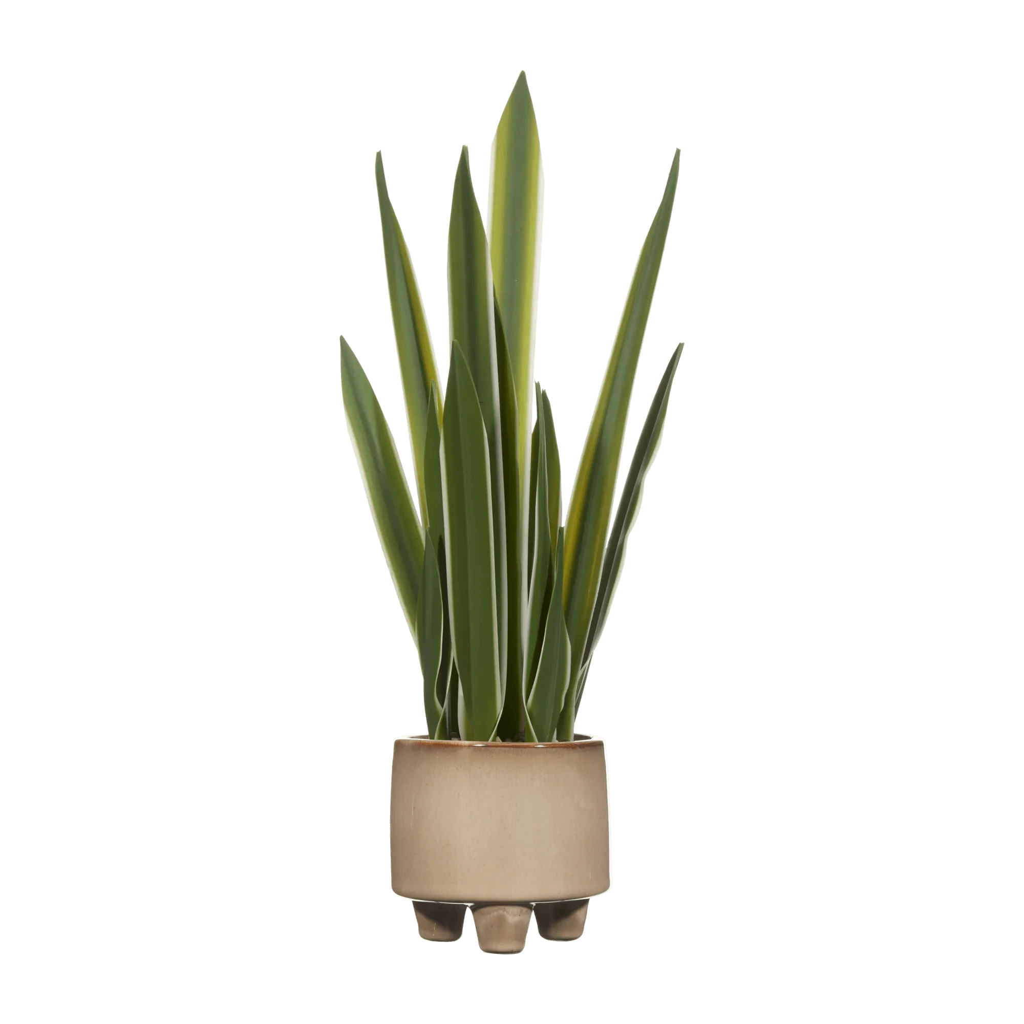 Artificial Yucca Leaf in Ceramic Pot