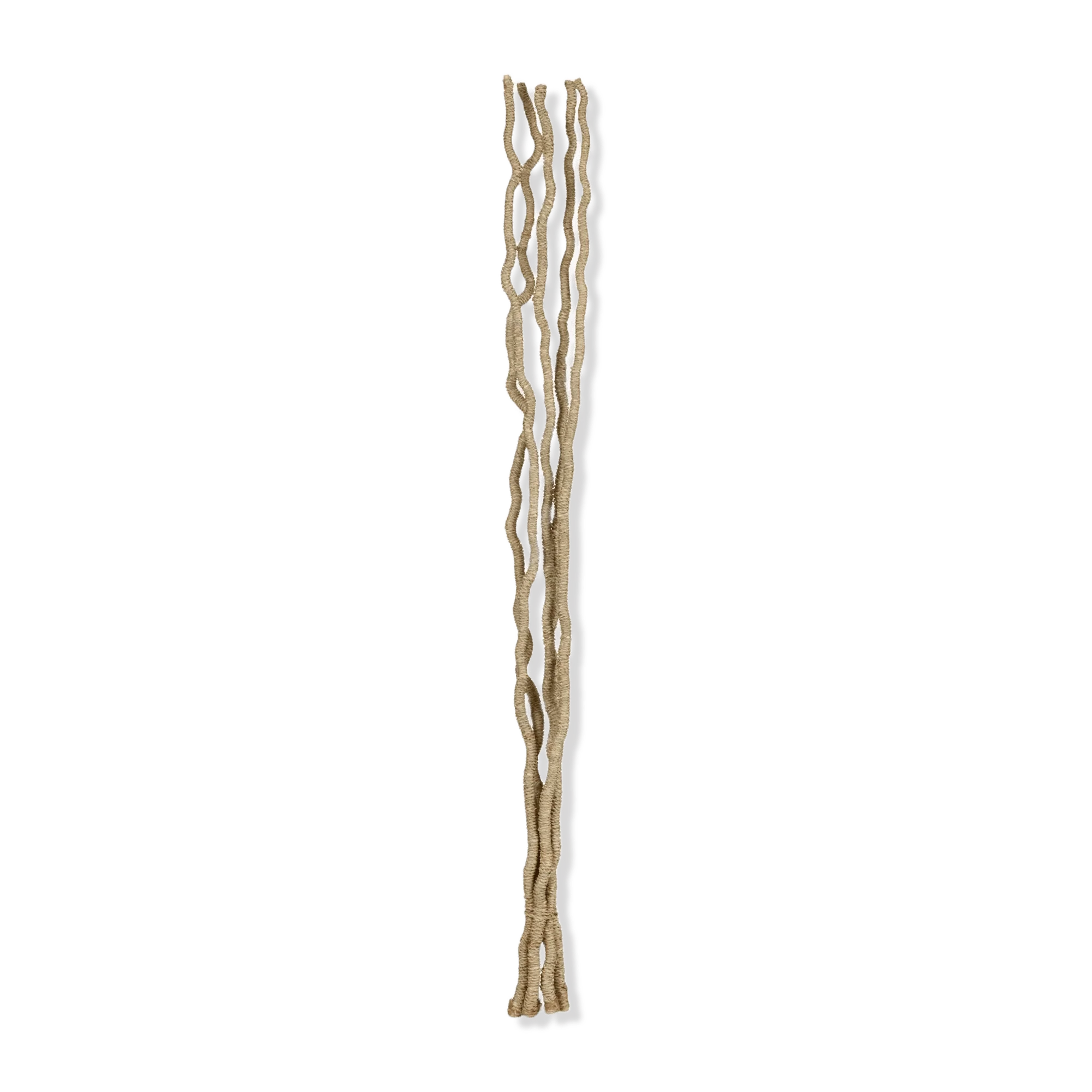 Bouquet of 5 Seagrass Stems