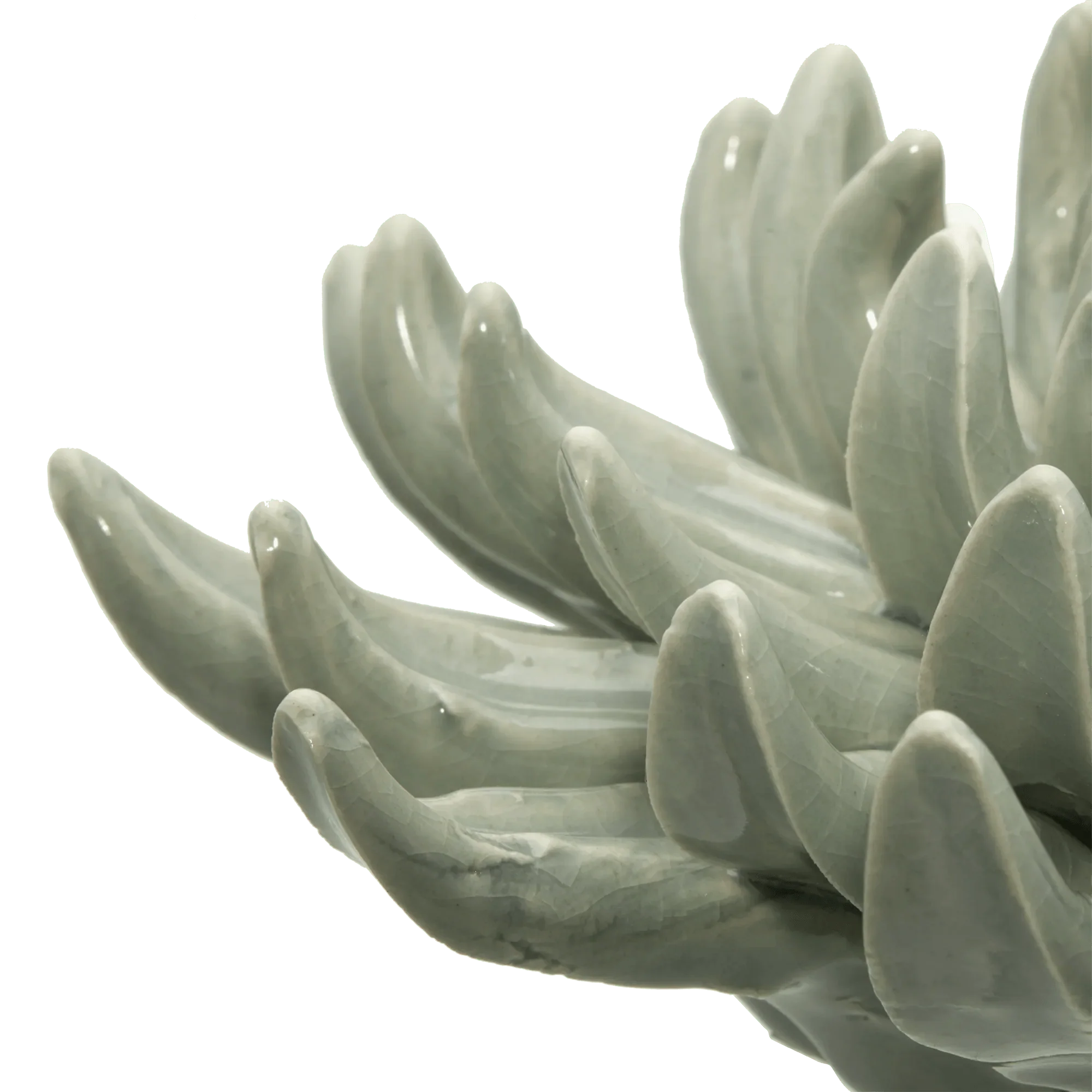 Ceramic Succulant - Image 2