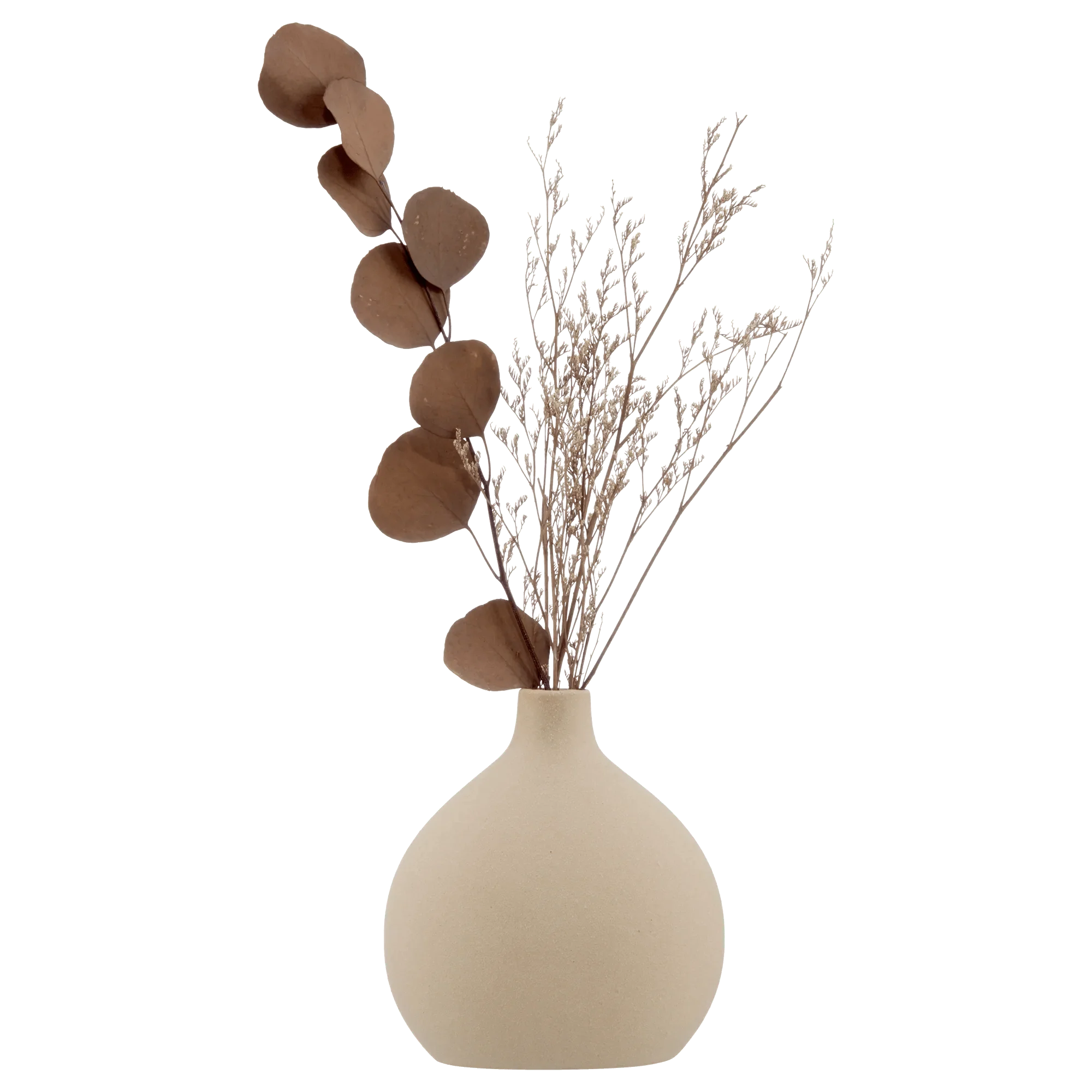 Dried Stem in a Vase