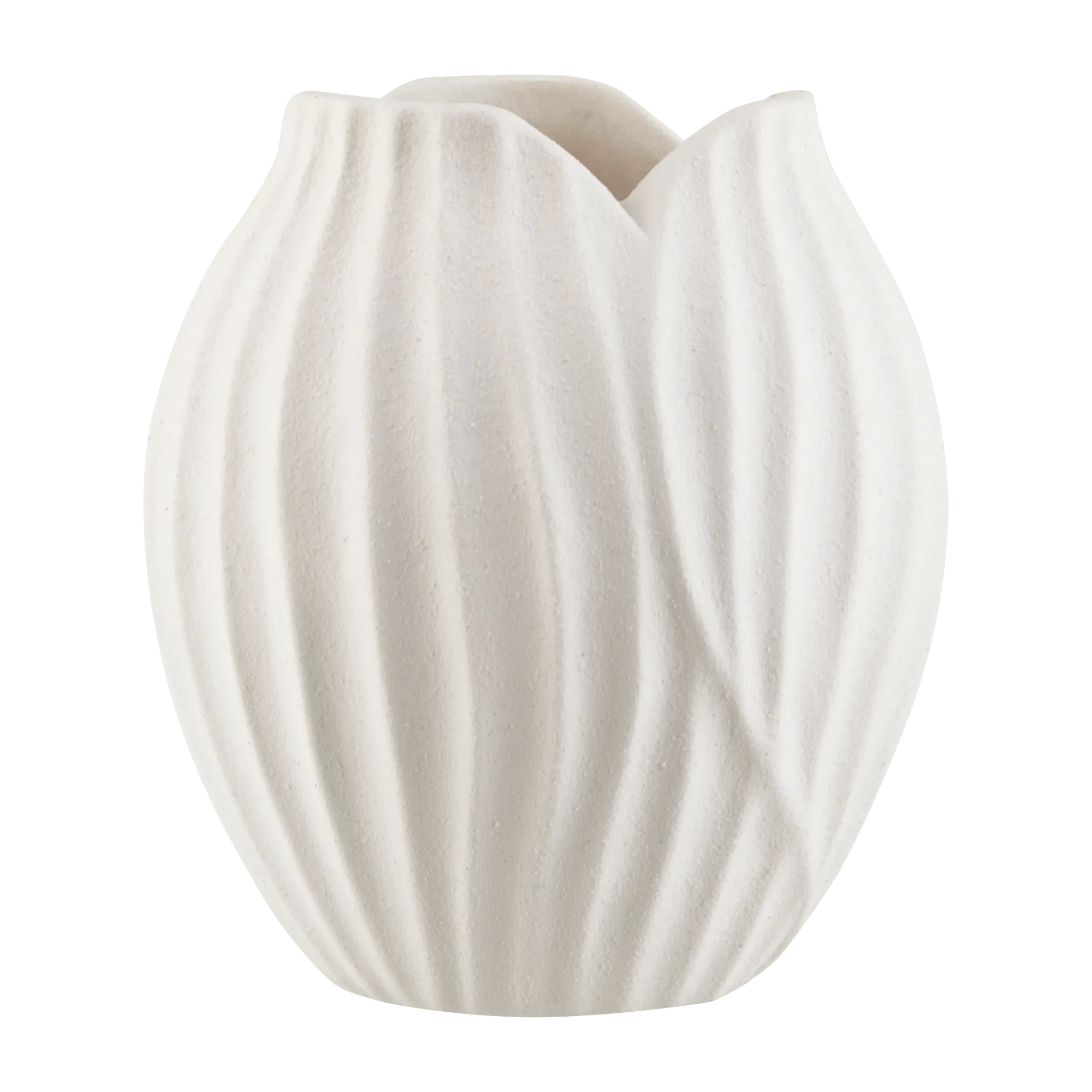 Elegant Ceramic Vase for Flowers