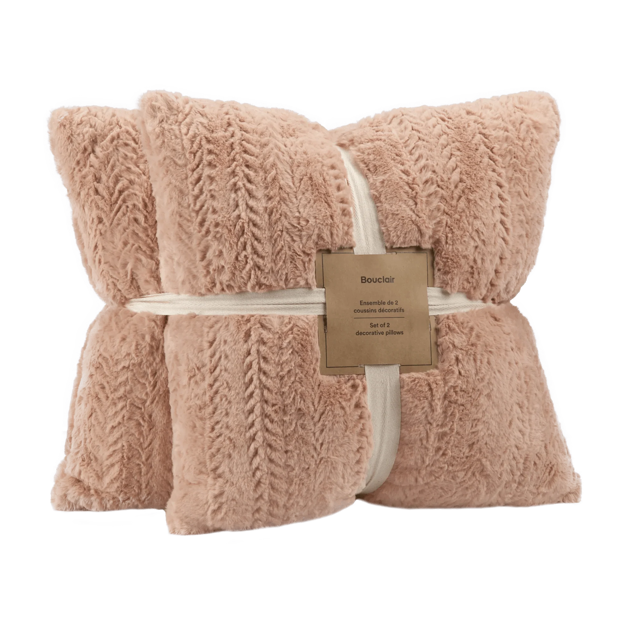 Ellyn Set of 2 Decorative Pillows