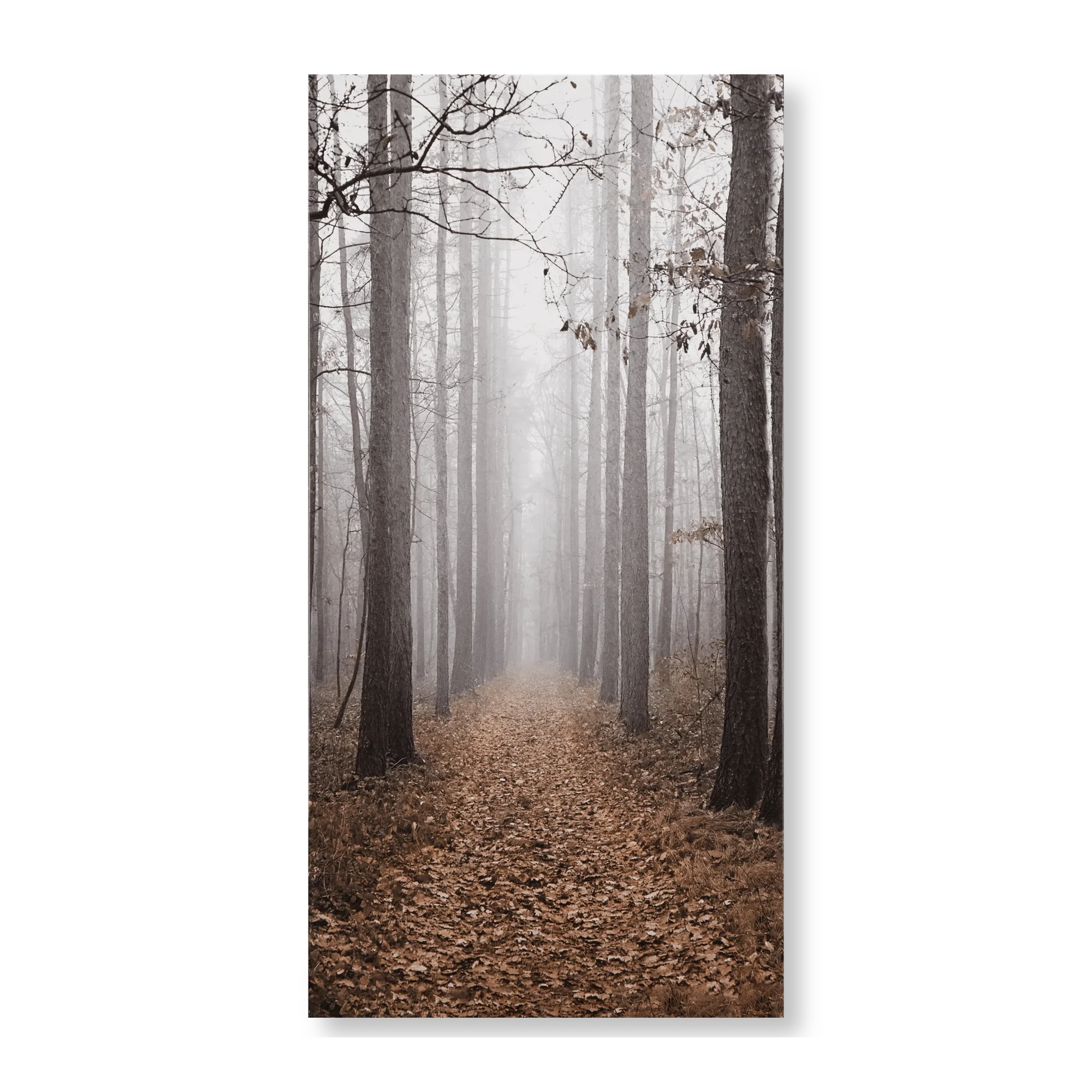 Fall Passage Printed Canvas