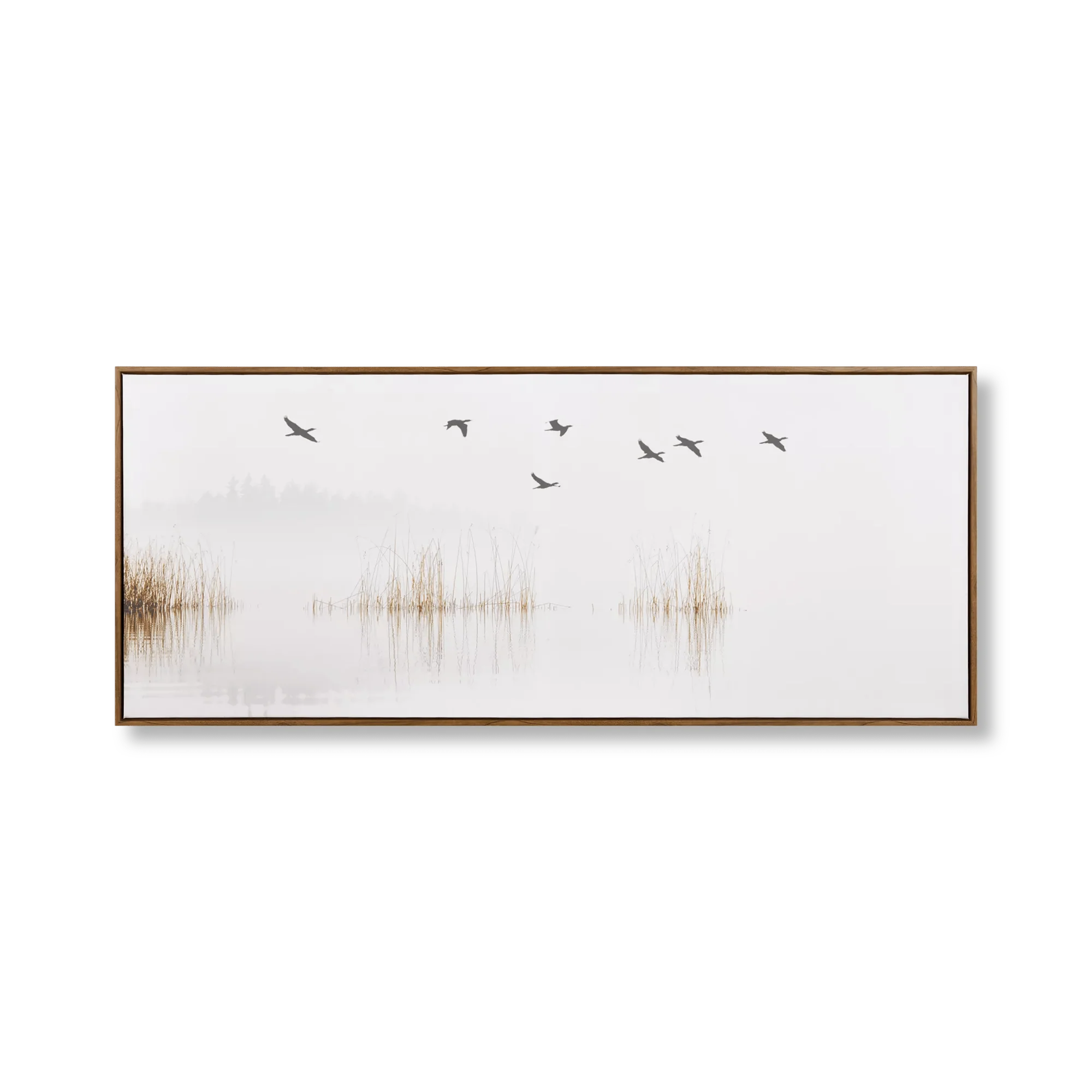 Flock of Birds Framed Canvas
