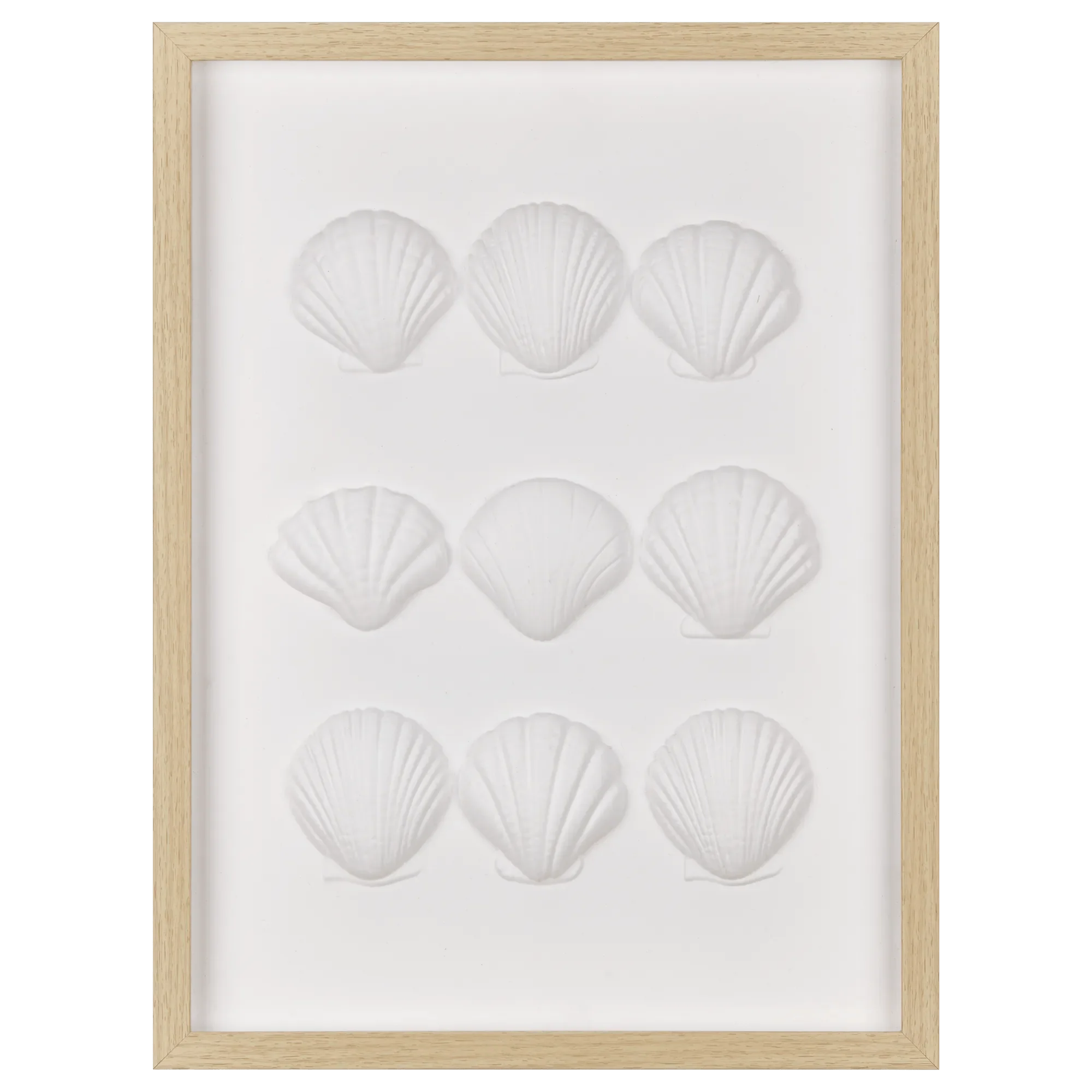 Framed Art 3D Shells