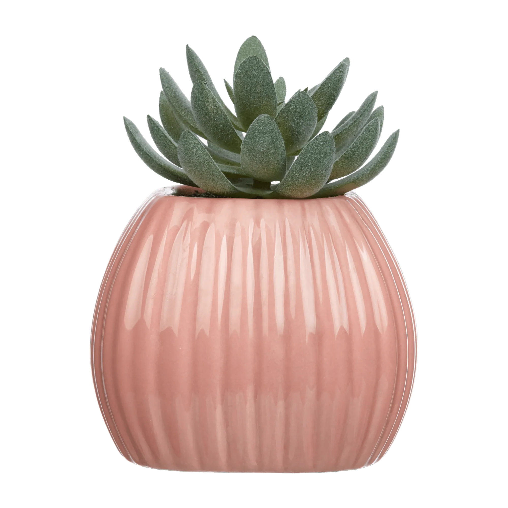 Greenery in Pink Ribbed Vase