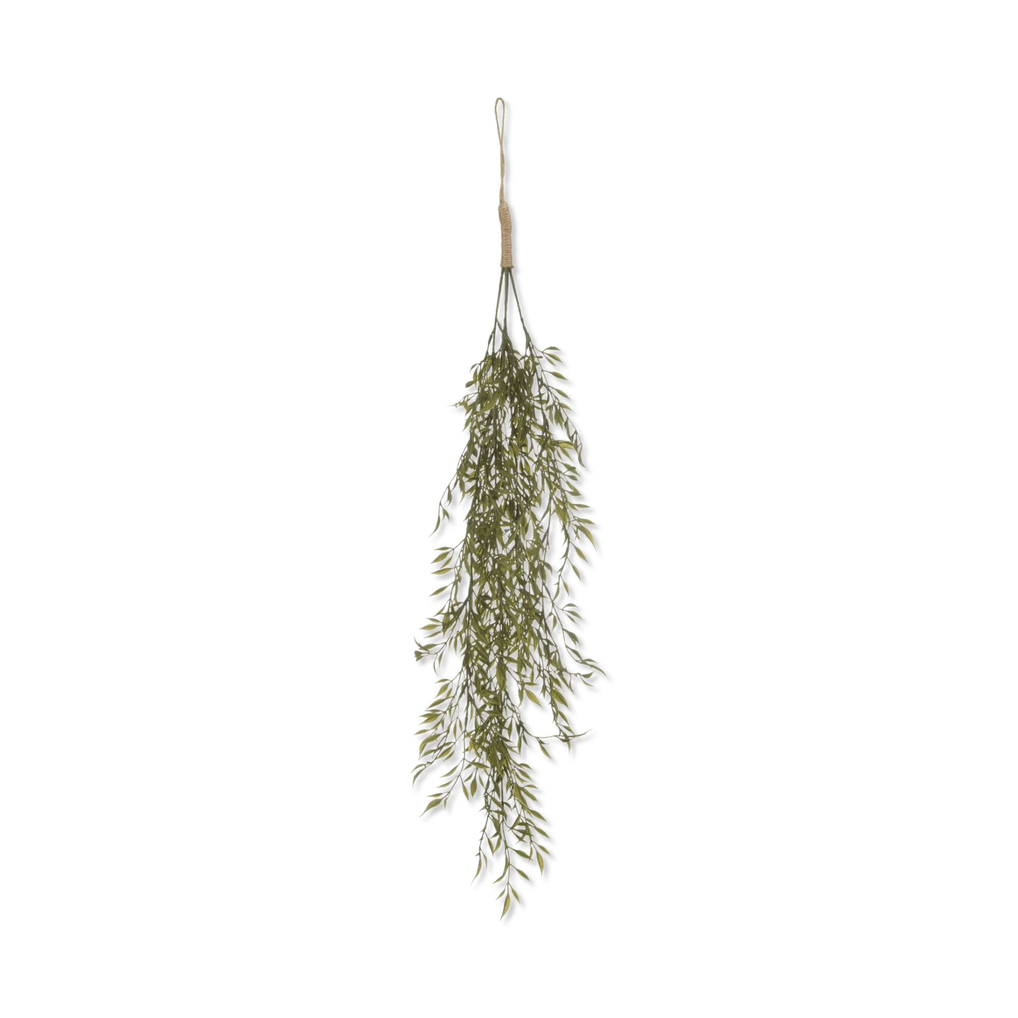 Hanging Leaves