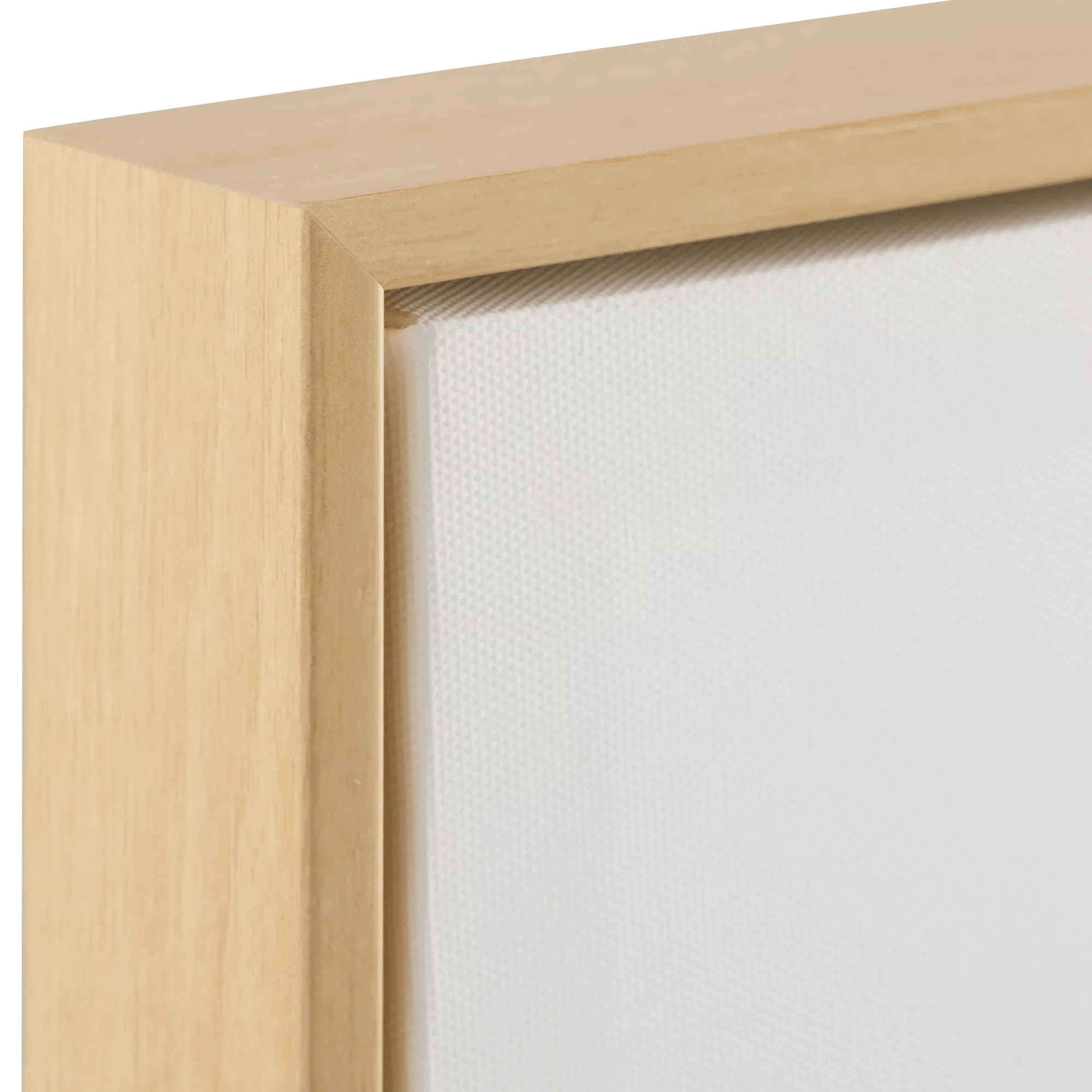 Hedgehog Framed Canvas - Image 2