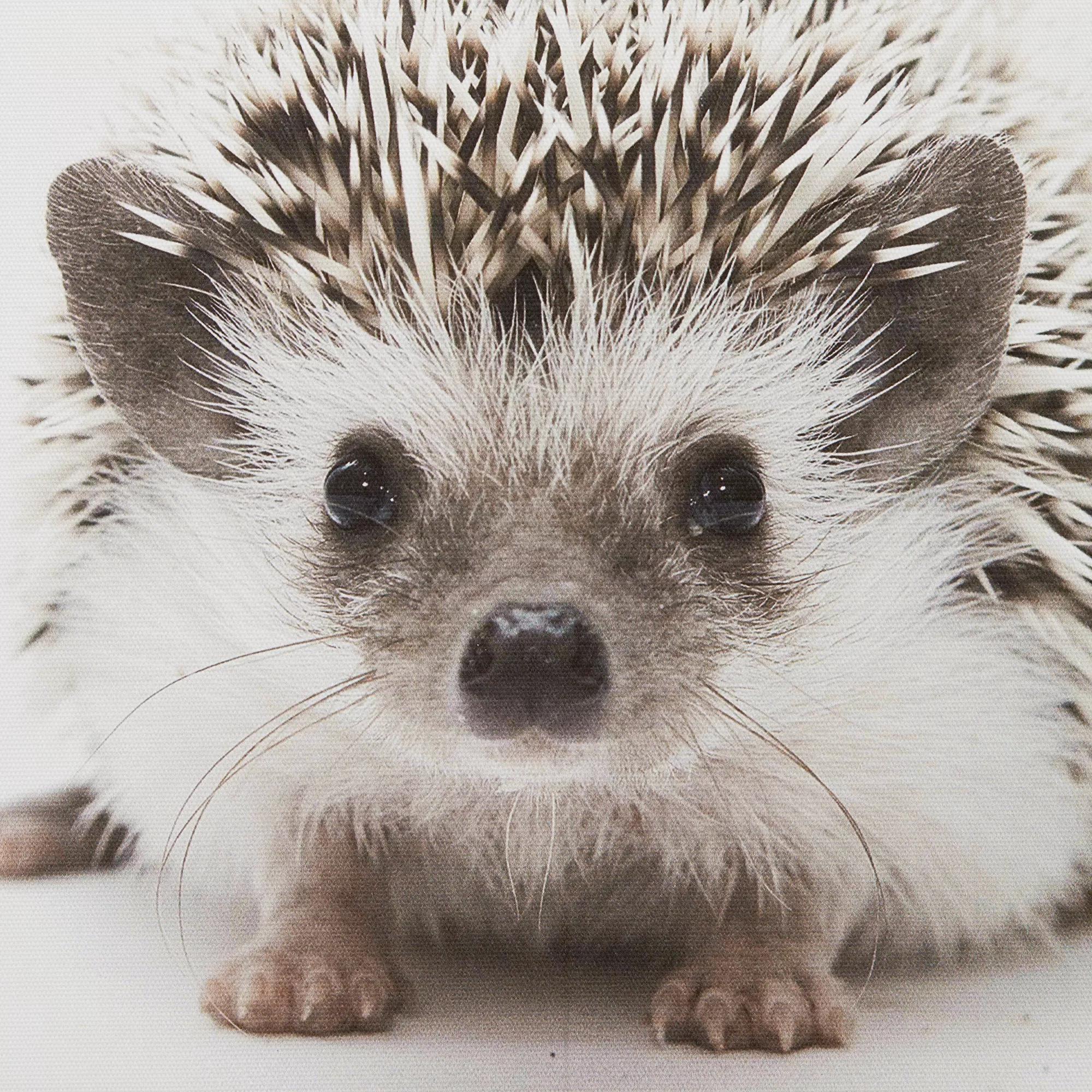 Hedgehog Framed Canvas - Image 3