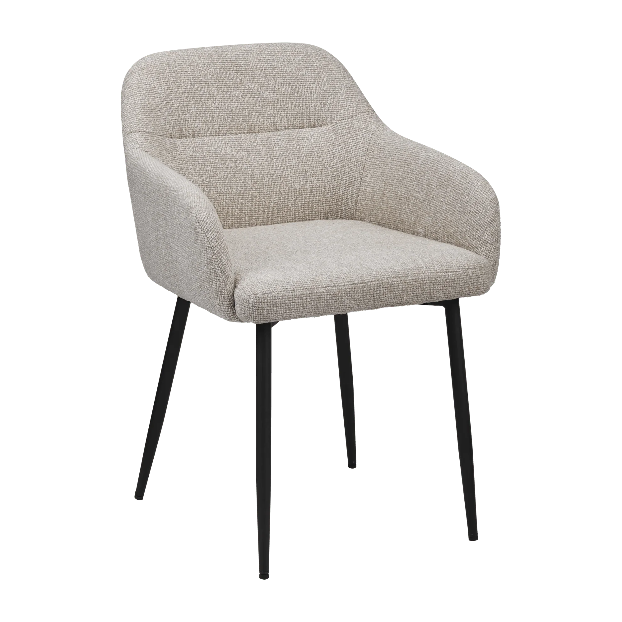 Modern Accent Chair with Arms