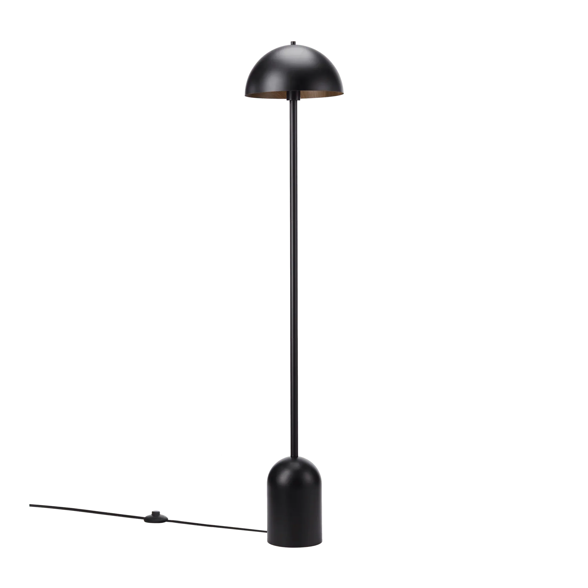 Modern Black Floor Lamp