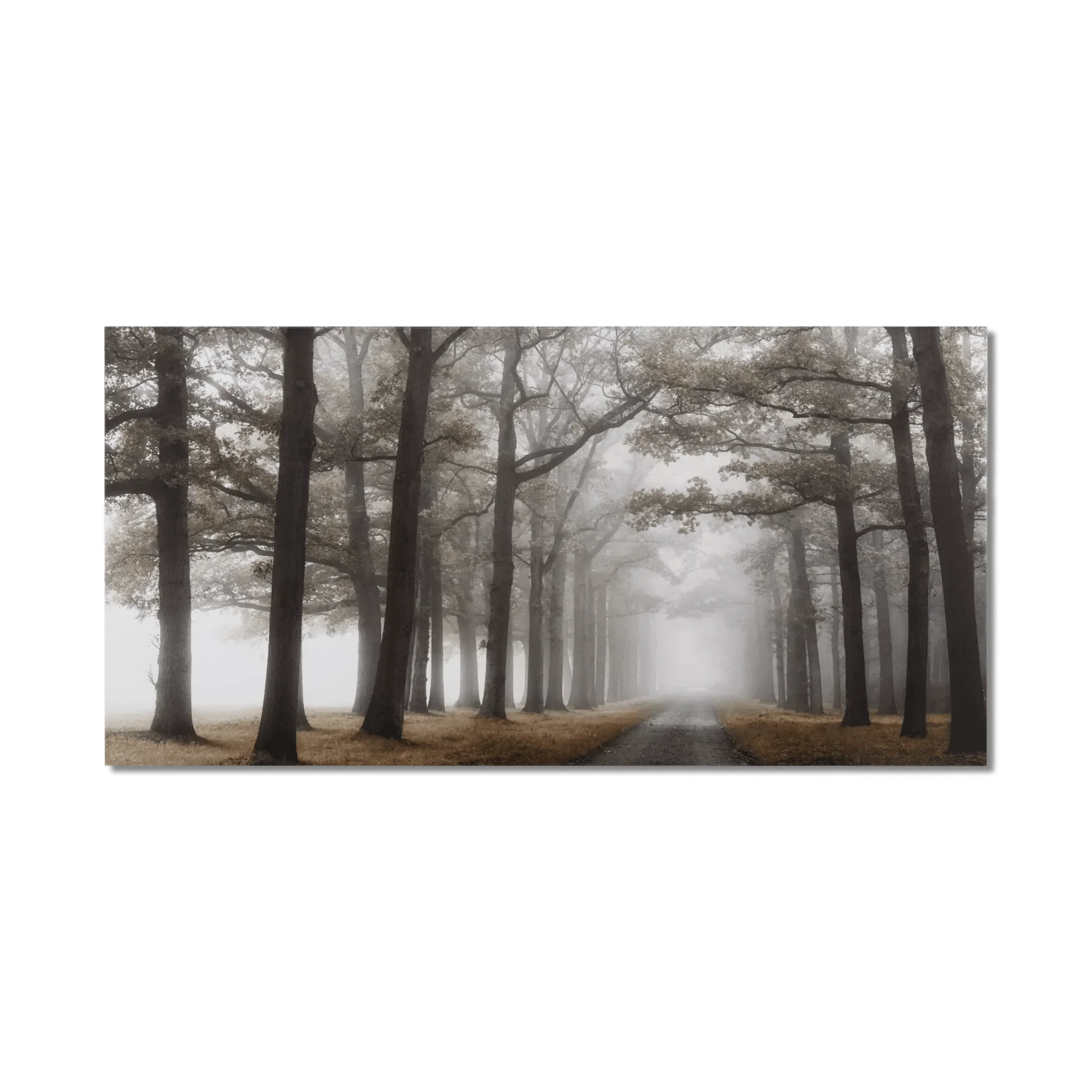 Mystical Pathway Printed Canvas
