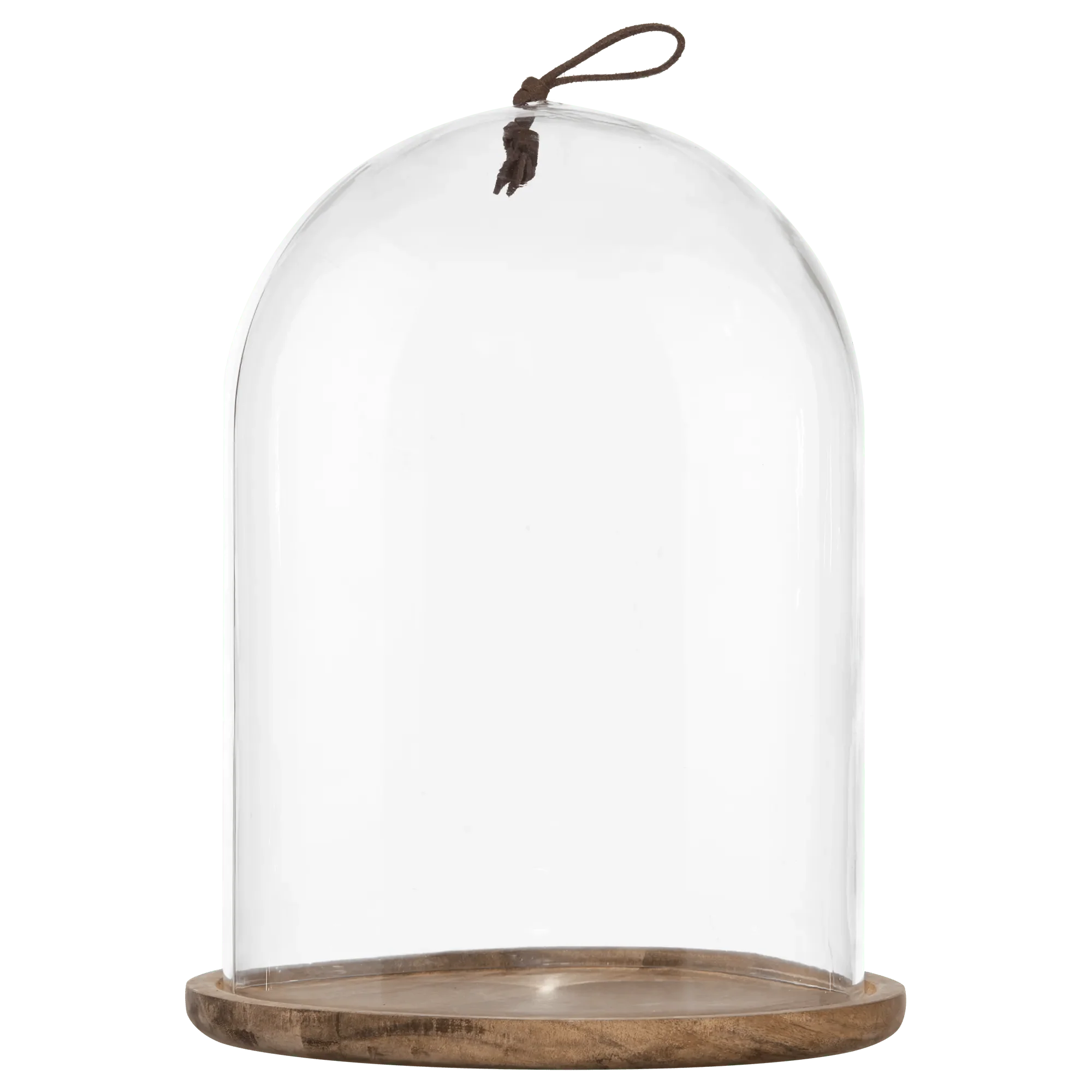 Tall Glass Dome with Acadia Wood Base