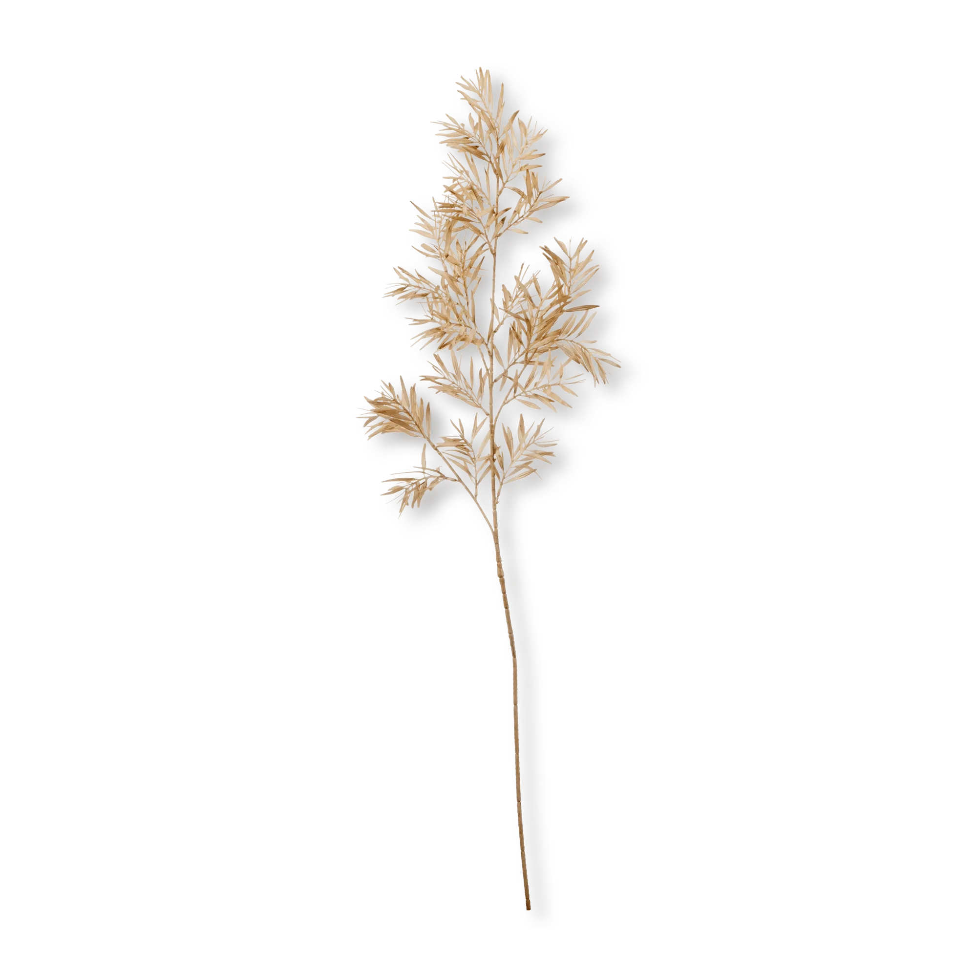 Beige Wild Leaves Stem
